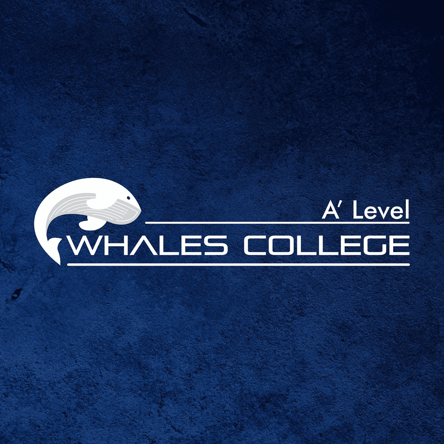 Whales College logo